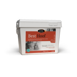 Best Hoof Biotin Horse Master