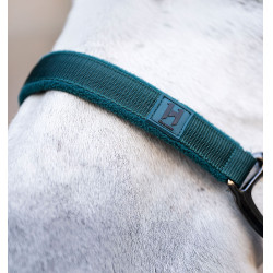 Halfter und Führstrick Horseware Dynastie Grün