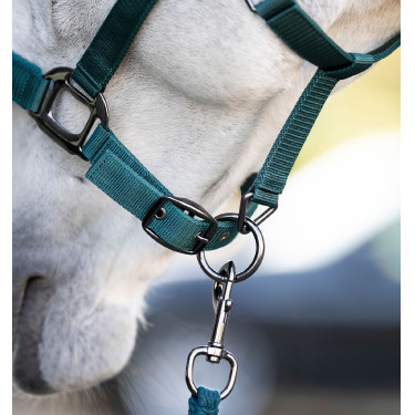 Halfter und Führstrick Horseware Dynastie Grün