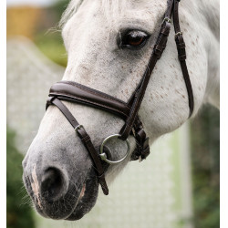 Pony-Zaumzeug Horseware Flash Braun