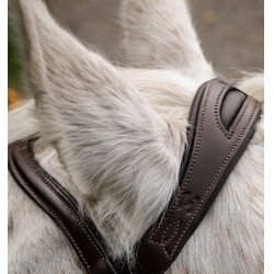 Pony-Zaumzeug Horseware Flash Braun