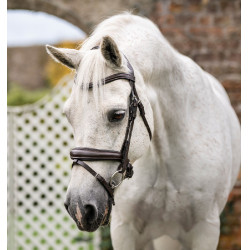 Pony-Zaumzeug Horseware Flash Braun