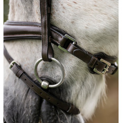 Pony-Zaumzeug Horseware Flash Braun