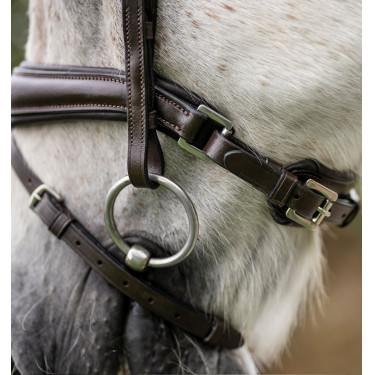 Pony-Zaumzeug Horseware Flash Braun