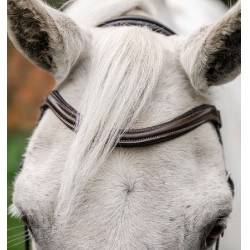 Pony-Zaumzeug Horseware Flash Braun