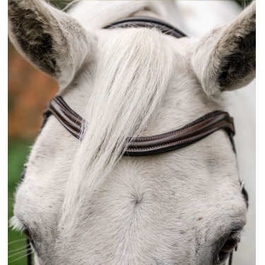 Pony-Zaumzeug Horseware Flash Braun