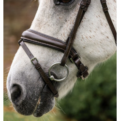 Pony-Zaumzeug Horseware Flash Braun