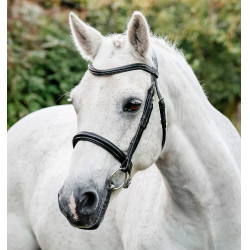 Pony-Zaumzeug Horseware Cavesson Schwarz Pony-Zaumzeug Horseware Cavesson Schwarz