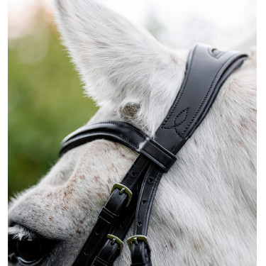 Pony-Zaumzeug Horseware Cavesson Schwarz Pony-Zaumzeug Horseware Cavesson Schwarz