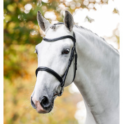 Kavesson-Zaumzeug Horseware Schwarz