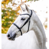 Kavesson-Zaumzeug Horseware Braun