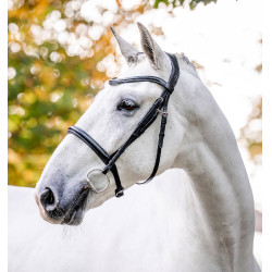 Kavesson-Zaumzeug Horseware Schwarz