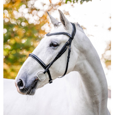 Kavesson-Zaumzeug Horseware Schwarz