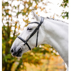 Kavesson-Zaumzeug Horseware Schwarz