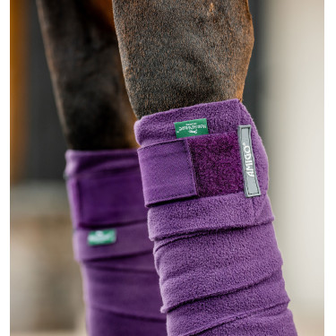 Polo-Bandagen Horseware Amigo Winterbeere Lila Polo-Bandagen Horseware Amigo Winterbeere Lila