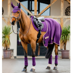 Polo-Bandagen Horseware Amigo Winterbeere Lila Polo-Bandagen Horseware Amigo Winterbeere Lila