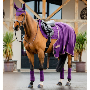 Polo-Bandagen Horseware Amigo Winterbeere Lila Polo-Bandagen Horseware Amigo Winterbeere Lila