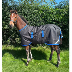 Horseware Amigo Ripstop 900D Fohlen-Outdoordecke 50g Schwarz / Klassisches Blau Horseware Amigo Ripstop 900D Fohlen-Outdoordecke 50g Schwarz / Klassisches Blau