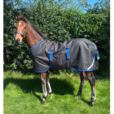 Horseware Amigo Ripstop 900D Fohlen-Outdoordecke 50g Schwarz / Klassisches Blau Horseware Amigo Ripstop 900D Fohlen-Outdoordecke 50g Schwarz / Klassisches Blau