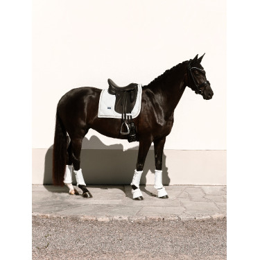 Dressur-Schabracke Equestrian Stockholm Funkelndes Weiß Wei&amp;szlig;