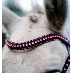 Pony-Trensenzaum Horseware Diamante Flash Schwarz / Rosa Pony-Trensenzaum Horseware Diamante Flash Schwarz / Rosa