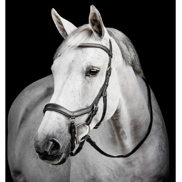 Micklem Diamante Wettkampfkandare von Horseware Schwarz Micklem Diamante Wettkampfkandare von Horseware Schwarz