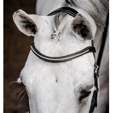 Micklem Diamante Wettkampfkandare von Horseware Schwarz Micklem Diamante Wettkampfkandare von Horseware Schwarz