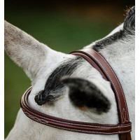 Horseware Reithalfter Cavesson Hunter mit Zügeln Braun Horseware Reithalfter Cavesson Hunter mit Zügeln Braun
