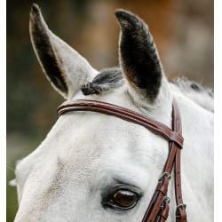 Horseware Reithalfter Cavesson Hunter mit Zügeln Braun