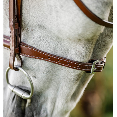 Horseware Reithalfter Cavesson Hunter mit Zügeln Braun