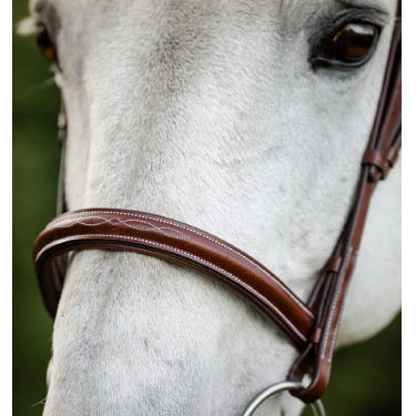 Horseware Reithalfter Cavesson Hunter mit Zügeln Braun