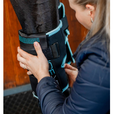 Horseware Ice-Vibe Knieschoner Schwarz / Aqua