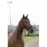 Knotenseilhalfter first Schwarz