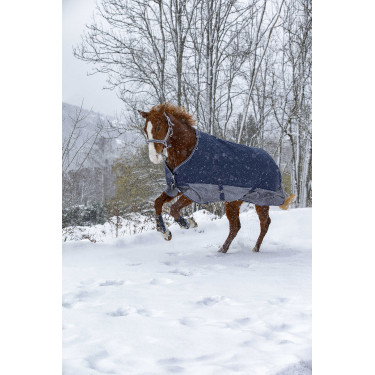 Equithème Tyrex 600 D 450g Decke