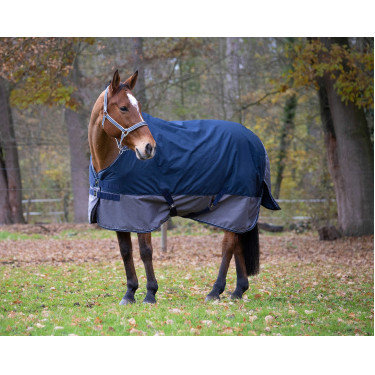 Equithème Tyrex 600 D 450g Decke