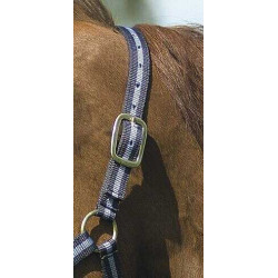 Nylonhalfter mit Leder unterlegt Norton Marine / Himmelblau Nylonhalfter mit Leder unterlegt Norton Marine / Himmelblau