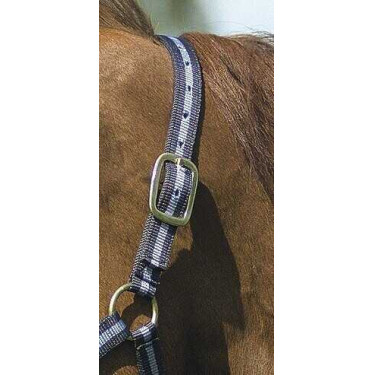 Nylonhalfter mit Leder unterlegt Norton Marine / Himmelblau Nylonhalfter mit Leder unterlegt Norton Marine / Himmelblau