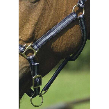 Nylonhalfter mit Leder unterlegt Norton Marine / Himmelblau Nylonhalfter mit Leder unterlegt Norton Marine / Himmelblau