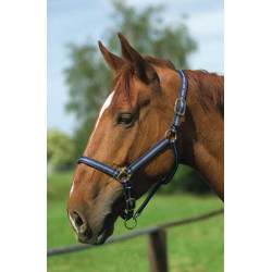 Nylonhalfter mit Leder unterlegt Norton Marine / Himmelblau Nylonhalfter mit Leder unterlegt Norton Marine / Himmelblau