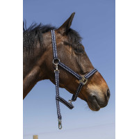 Halfter Norton Grooming Schwarz Halfter Norton Grooming Schwarz