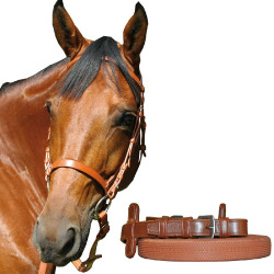 Canter-Rennzaum