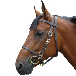Breites Zaumzeug-Halfter Canter Breites Zaumzeug-Halfter Canter