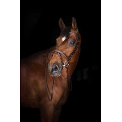 Zügel Hunter Eric Thomas Elite 16 mm Havanna Braun Zügel Hunter Eric Thomas Elite 16 mm Havanna Braun