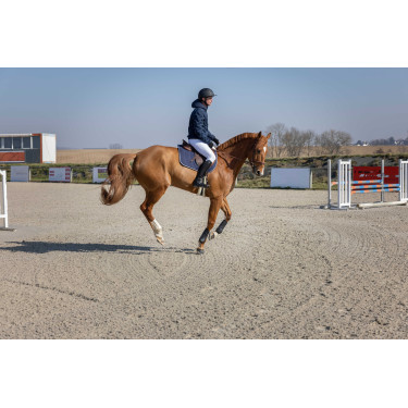 Steppjacke Pro Series Diagonal Marineblau