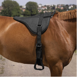 Reitpad Norton Silikon Schwarz