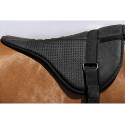 Reitpad Norton Silikon Schwarz