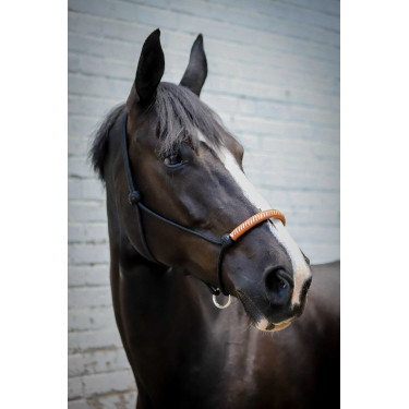 Amerikanisches Ethologisches Halfter Pénélope Schwarz