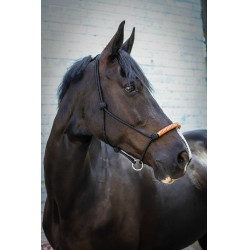 Amerikanisches Ethologisches Halfter Pénélope Schwarz