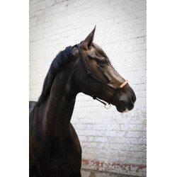 Amerikanisches Ethologisches Halfter Pénélope Schwarz