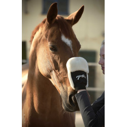 Putzhandschuh Pénélope Schwarz Putzhandschuh Pénélope Schwarz